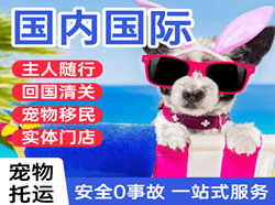 广州航空邮寄国际宠物托运 【国